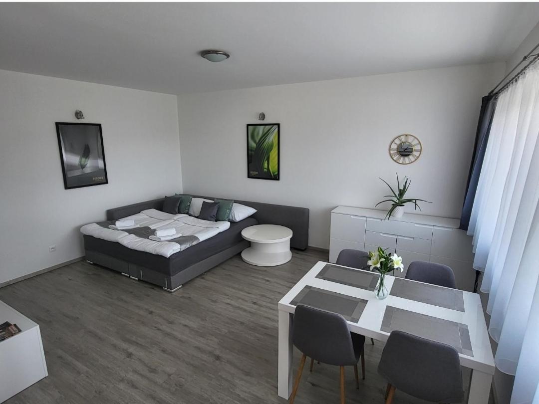 Apartman Gabriela Roudne 外观 照片
