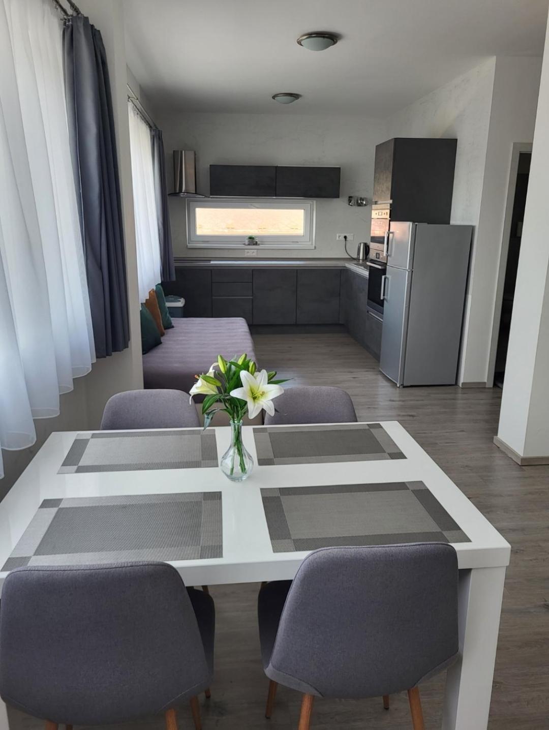 Apartman Gabriela Roudne 外观 照片