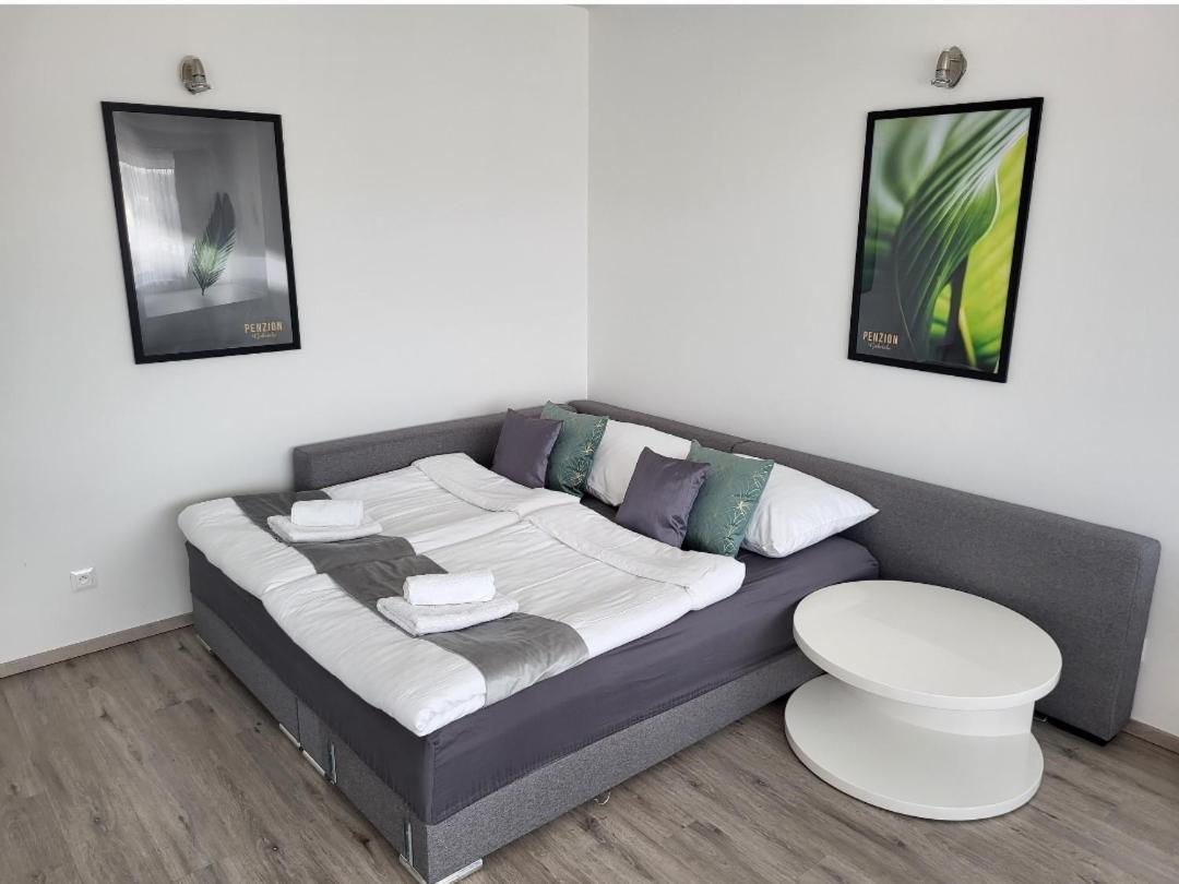 Apartman Gabriela Roudne 外观 照片